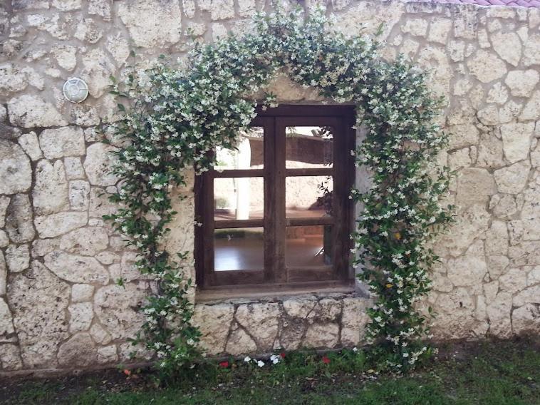 Terrazas Parana Villa Exterior foto
