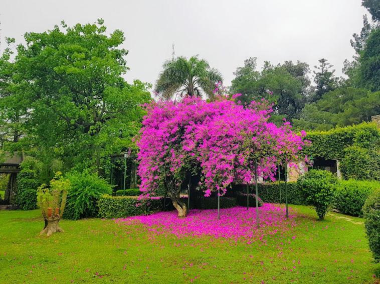 Terrazas Parana Villa Exterior foto